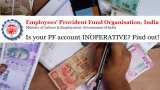 EPFO: PF alert! Do this to ensure you get interest on your Provident Fund account