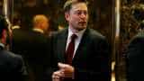 Warren Buffett says Tesla can&#039;t sell insurance, Elon Musk hits back