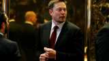 Warren Buffett says Tesla can't sell insurance, Elon Musk hits back Warren Buffett says Tesla can't sell insurance, Elon Musk hits back