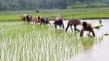 Farmers alert! With monsoon set to arrive soon, here are SBI loan schemes meant for agriculture purposes Farmers alert! With monsoon set to arrive soon, here are SBI loan schemes meant for agriculture purposes