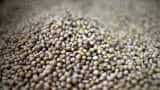 Farmers set to plant more land with soybean crops as prices rally