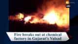 Fire breaks out at chemical factory in Gujarat’s Valsad