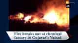 Fire breaks out at chemical factory in Gujarat’s Valsad Fire breaks out at chemical factory in Gujarat’s Valsad
