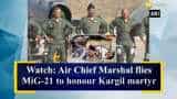 Watch: Air Chief Marshal flies MiG-21 to honour Kargil martyr 