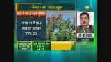 Castor expected to have 10.6 lakh ton production in 2018-19: SEA Castor expected to have 10.6 lakh ton production in 2018-19: SEA