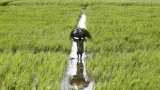  Hike farmer income support, raise peak tax threshold: Ficci