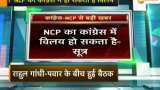 Will NCP and Congress merge?
