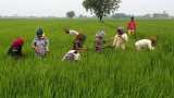 Rythu Bharosa scheme: Farmers in Andhra Pradesh to get Rs 12,500 each from October 15