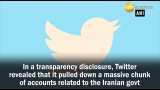 Twitter pulls down over 4,000 accounts linked to Iranian government Twitter pulls down over 4,000 accounts linked to Iranian government