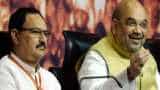 Amit Shah to remain BJP chief, J P Nadda appointed working president