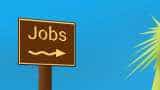 NHM Mumbai Recruitment 2019: Vacancy for 38 Programmer Posts, last date to apply is July 10 NHM Mumbai Recruitment 2019: Vacancy for 38 Programmer Posts, last date to apply is July 10