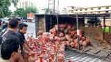 LPG Price Cut Alert: Cooking gas cylinder cheaper by Rs 100 from today!