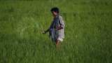 Centre takes steps to make India self-sufficient in Urea sector, set to revive 5 closed fertilizer plants