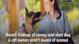Most dog, cat owners unaware of pet blood donation schemes Most dog, cat owners unaware of pet blood donation schemes