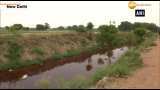 Farmers use toxic drain water for growing vegetables in Delhi’s Mungeshpur village