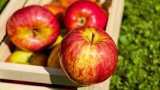 An apple a day is 100 mn bacteria! Is it good or bad for your stomach? Find out An apple a day is 100 mn bacteria! Is it good or bad for your stomach? Find out