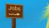 This  government job pays Rs 1,60,000! 203 vacancies available; apply this way to grab vacancy