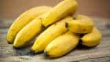 Banned! No bananas to be sold on Lucknow railway station