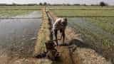 Riding on Cloud, India set to help farmers reap gold: AWS Riding on Cloud, India set to help farmers reap gold: AWS