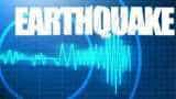 Earthquake: Mild tremors felt in north India