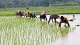 ALERT! Aadhaar card PM-Kisan scheme linking: Government extends Pradhan Mantri Kisan Samman Nidhi Scheme seeding date ALERT! Aadhaar card PM-Kisan scheme linking: Government extends Pradhan Mantri Kisan Samman Nidhi Scheme seeding date