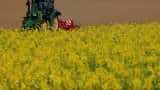 Farmers prefer DBT route for fertiliser subsidy: Study