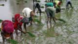PM Kisan Samman Nidhi Yojna: Aadhaar card not mandatory! Check pmkisan.gov.in, claim Rs 6,000 subsidy PM Kisan Samman Nidhi Yojna: Aadhaar card not mandatory! Check pmkisan.gov.in, claim Rs 6,000 subsidy