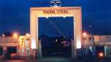 Tata Steel share price: Profit grows 17.4%, expert says &#039;BUY&#039; this stock