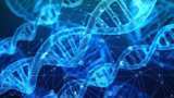 Mutations in gene linked to heart failure discovered