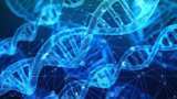 Mutations in gene linked to heart failure discovered Mutations in gene linked to heart failure discovered