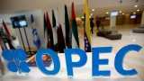 OPEC&#039;S share of Indian oil imports in October hits lowest since 2011