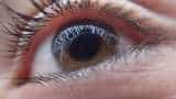 Air pollution can cause blindness: Study Air pollution can cause blindness: Study