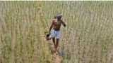 PM Kisan online 4th installment of Rs 6,000 subsidy may not happen if your bank account has this fault