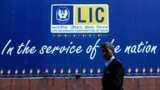 LIC Policy: Want to buy Money-back plan to get big payback? Find out if you should do that