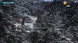 Thick snow blankets Shimla Thick snow blankets Shimla