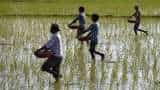 Govt may consider import duty cut on raw material for fertiliser industry in Budget Govt may consider import duty cut on raw material for fertiliser industry in Budget