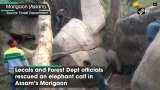 Locals, Forest Dept officials rescue trapped elephant calf in Assam’s Morigaon Locals, Forest Dept officials rescue trapped elephant calf in Assam’s Morigaon
