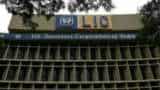 LIC IPO quantum? Could be 10 pct says but no decision taken so far, says official