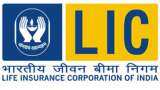 LIC: Market share, products, insurance policies, recruitment, and more - All you need to know