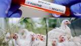 Confusion cleared! Coronavirus alert - Is chicken consumption safe? Check what Modi government has said Confusion cleared! Coronavirus alert - Is chicken consumption safe? Check what Modi government has said