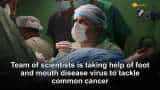 Scientists target foot, mouth disease virus to tackle pancreatic cancer Scientists target foot, mouth disease virus to tackle pancreatic cancer