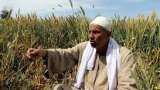 PM-KISAN Samman Yojana: Kisan Credit Card: How to avail credit through KCC? Know here PM-KISAN Samman Yojana: Kisan Credit Card: How to avail credit through KCC? Know here
