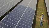 Business News Today: Policy stability will spike renewable growth in India: IEEFA