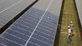 Business News Today: Policy stability will spike renewable growth in India: IEEFA
