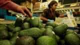 Avacado a day may improve cognitive functions in obese adults