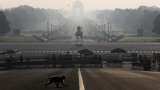 This is how Coronavirus lockdown may change people This is how Coronavirus lockdown may change people