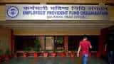 EPFO alert! Good news for 79 lakh EPF, EPS account holders; PF regulator to credit money in accounts EPFO alert! Good news for 79 lakh EPF, EPS account holders; PF regulator to credit money in accounts