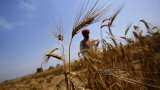 Farm loan latest news! Incentives extended to farmers for crop loans