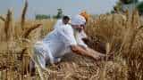 India Fights Coronavirus: Wheat harvesting in full swing in Punjab, Haryana, near to finish elsewhere