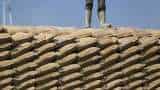 Ambuja Cements shares gain over 4 pc after quarterly earnings Ambuja Cements shares gain over 4 pc after quarterly earnings